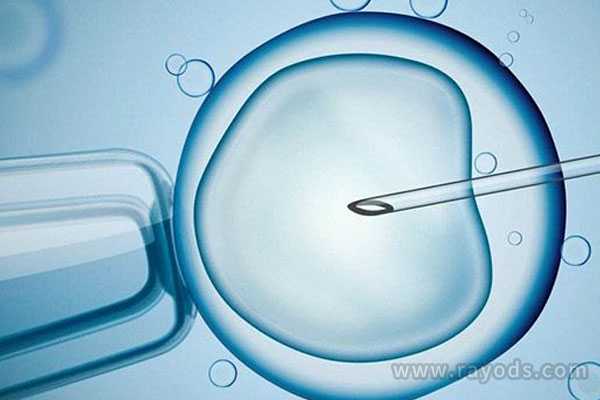 延安私人代孕医院,性激素六项与试管婴儿成功率的关系介绍_上海有供卵试管婴