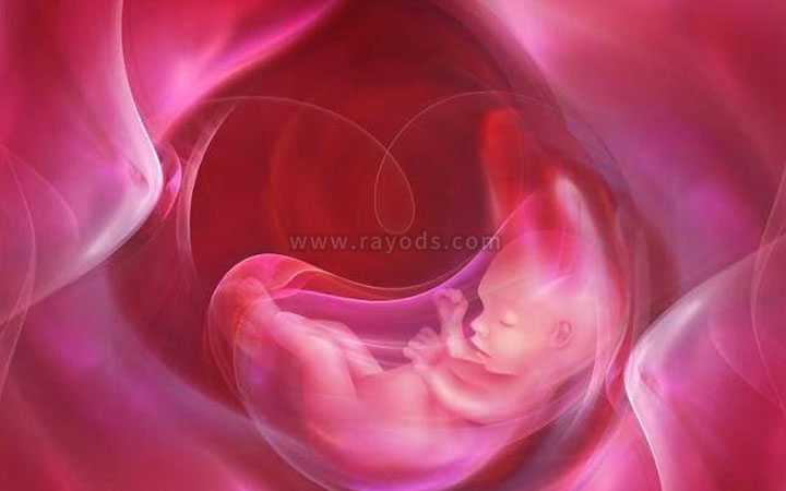 渝中36岁第三代试管婴儿技术_试管胚胎移植之后几天可以测试怀孕，最早什么时