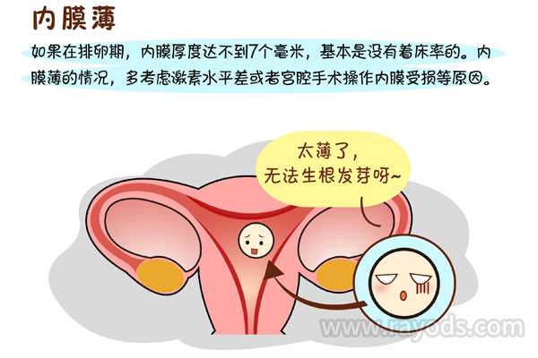 无锡试管之母借卵_做试管婴儿子宫内膜薄，应该怎么办？