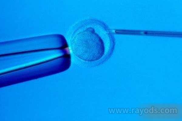 新余借卵生女儿_新余借卵生子的详细流程_第四代试管婴儿过程是什么  四代试