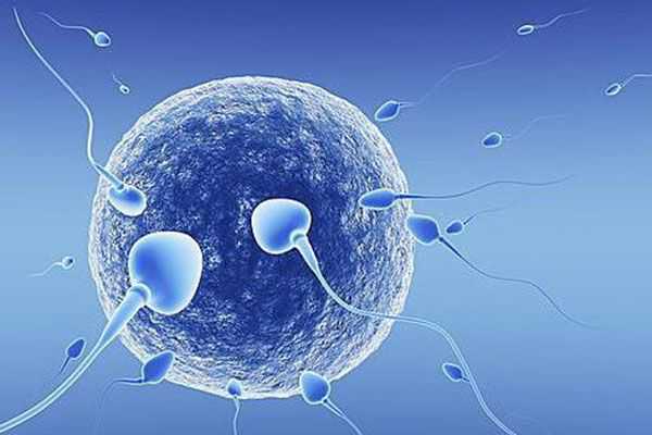 南昌医院代孕产妇吗 2022南昌助孕供卵的医院排名前十新鲜出炉 ‘阴道彩超孕囊