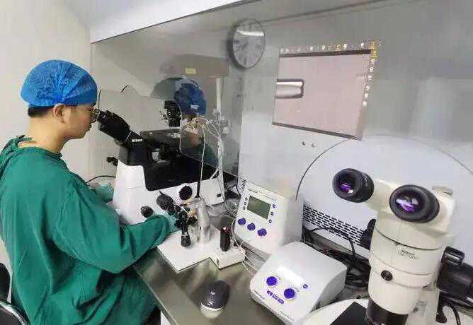 南昌代怀公司微信 南昌试管胚胎移植成功率高医院 ‘看彩超的片子怎么看男女