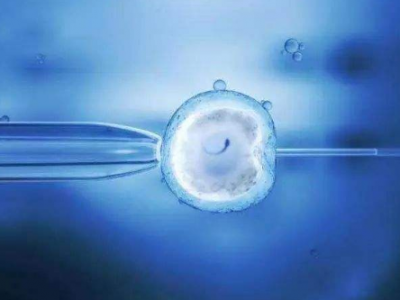 梅州神池代孕成功率_在嘉峪关助孕试管婴儿选择哪种移植方式才最好？