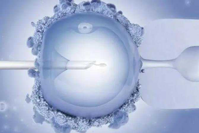 江西高龄供卵失败案例_试管婴儿胚胎移植以后需要注意些什么