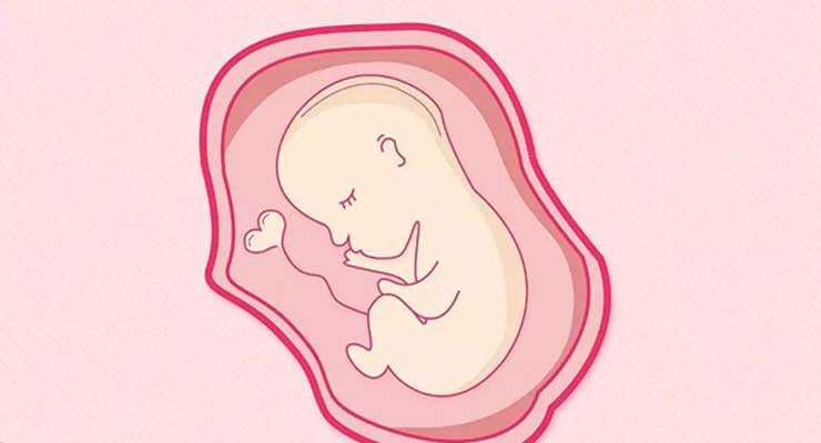汉沽代孕服务介绍_试管移植后怀孕能吃哈密瓜吗？听说利于胚胎着床！